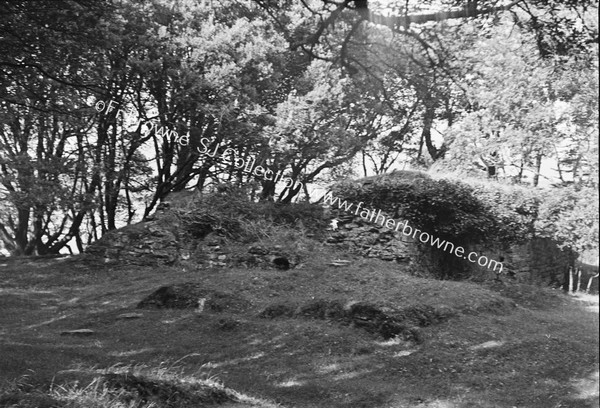 DUNBOY CASTLE SHOWING WALL & 